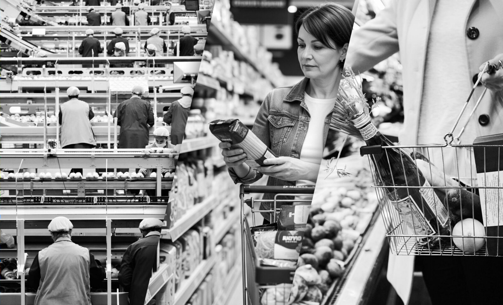 Capa - Segmento de Alimentos