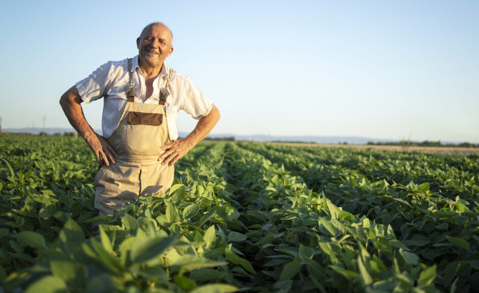 Produtor rural no campo de soja